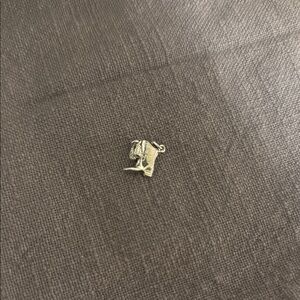 Silver Zodiac Pendant